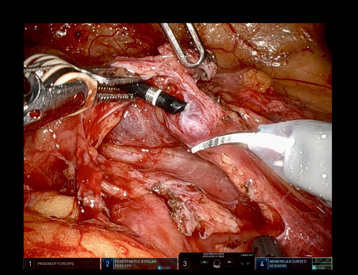 Tabourin Thomas tweet media