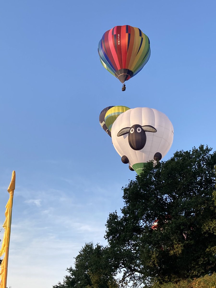 barneycal tweet media