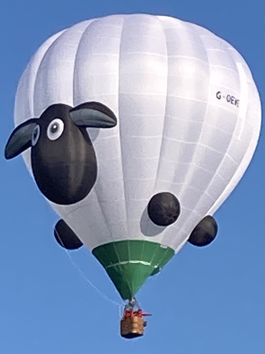 barneycal tweet media