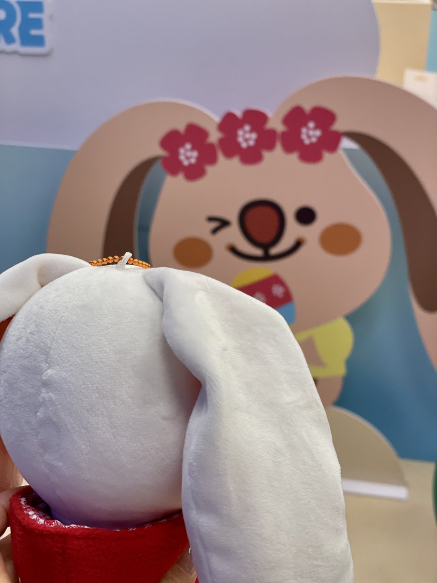 hayaanS2's tweet photo. 애드라 여기가 어디야,, @_@ 
얼마나 신나게 놀았으면 제대로 익어버렸냐구🥹
그렇게 익어버린 우카를 한참이나 보던 우카(?)
우리 우카 사이즈는 아무도 못 이겨‼️
대왕우카 진짜 들고튀고싶어‼️

#SUMMER_CCREW #썸머크크루_팝업스토어 #썸머크크루_여름이었다 #쿼카아님_우카랑_크크루���업스토어 https://t.co/ljG0i5BT4F