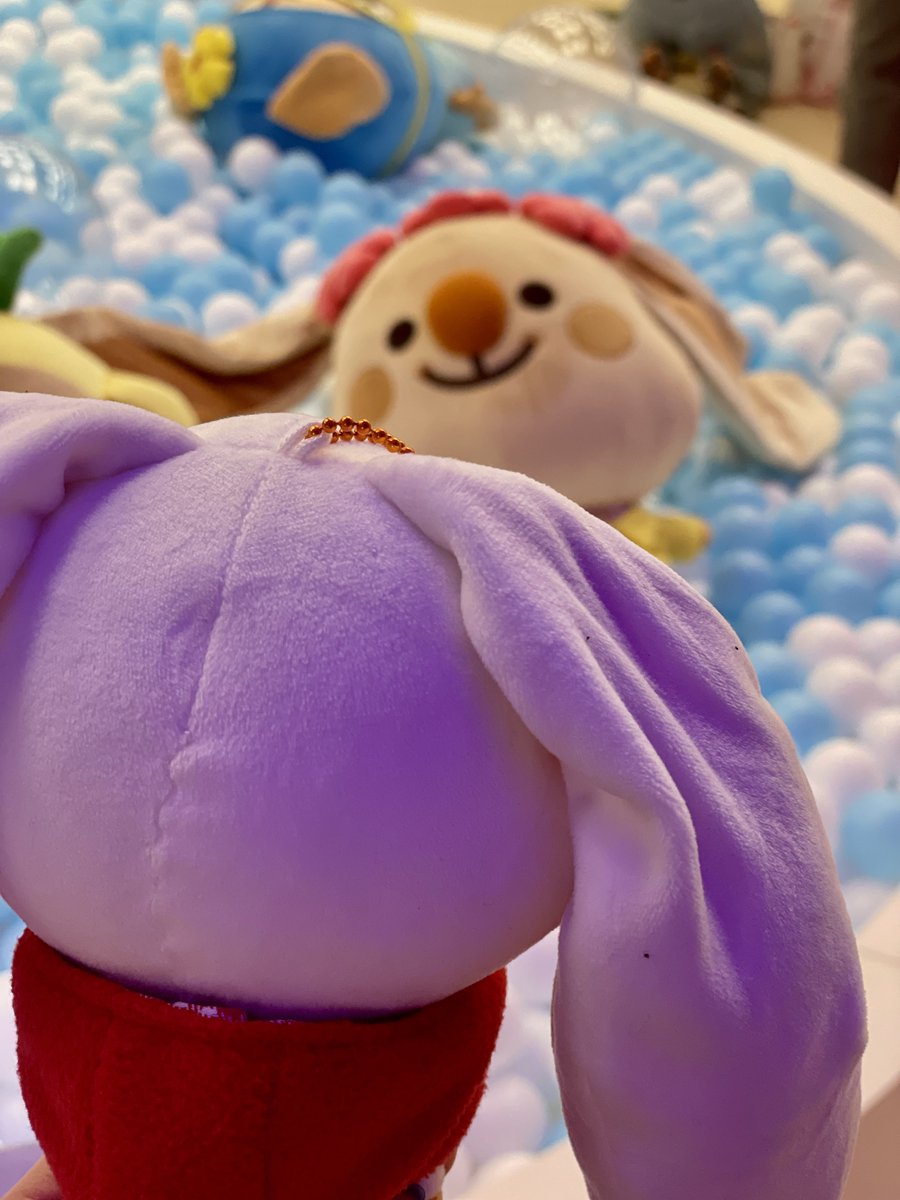 hayaanS2's tweet photo. 애드라 여기가 어디야,, @_@ 
얼마나 신나게 놀았으면 제대로 익어버렸냐구🥹
그렇게 익어버린 우카를 한참이나 보던 우카(?)
우리 우카 사이즈는 아무도 못 이겨‼️
대왕우카 진짜 들고튀고싶어‼️

#SUMMER_CCREW #썸머크크루_팝업스토어 #썸머크크루_여름이었다 #쿼카아님_우카랑_크크루���업스토어 https://t.co/ljG0i5BT4F