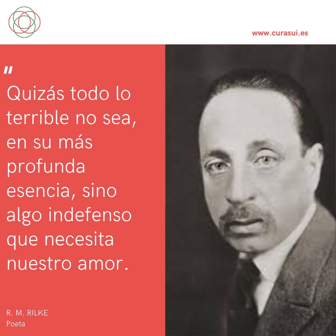 #filosofía #autoconocimiento #curasui #curasumundi #acompañamiento #pensamientocrítico #estoicismo  #estoico #acompañamientofilosofico #filosofiaaplicada