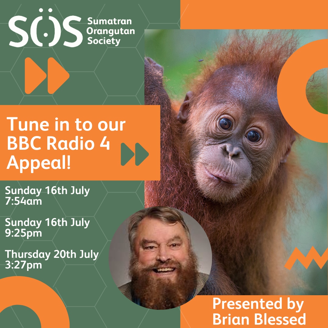 OrangutansSOS's tweet image. Our #R4Appeal is on the radio for the last time today at 3:27pm

📻Turn on your radio, tune in to @BBCRadio4 and listen to @brianblessed present our appeal. 

You can also listen online at any time: bbc.co.uk/programmes/m00…