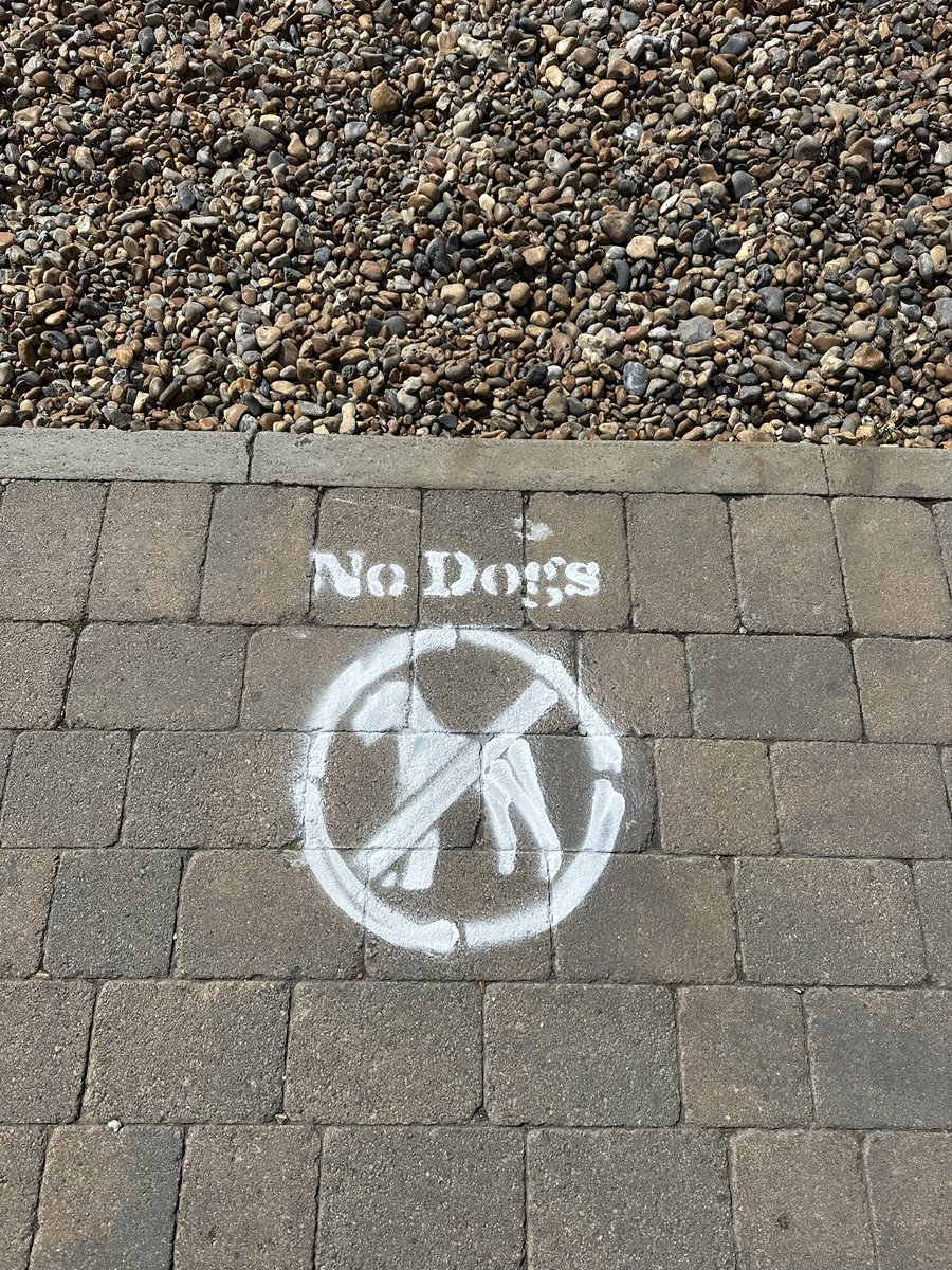 Steveontour1's tweet image. No #meandering on the beach for dogs this summer #Brighton #DailyPictureTheme