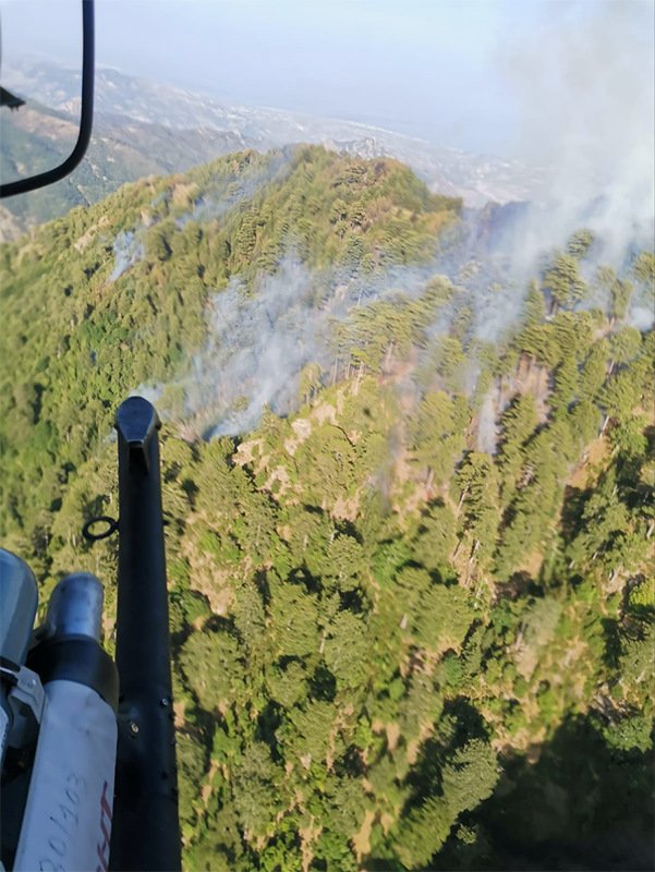 Esercito's tweet photo. Ieri, un elicottero #AB412 è intervenuto in Calabria per lo spegnimento di un vasto incendio nel comune di San Luca (RC).
L’#EsercitoItaliano anche quest’anno partecipa alla Campagna Antincendio Boschivo 2023.
#AIB2023 #alserviziodelPaese #EsercitodegliItaliani #Difesa https://t.co/aslnoUi3pm