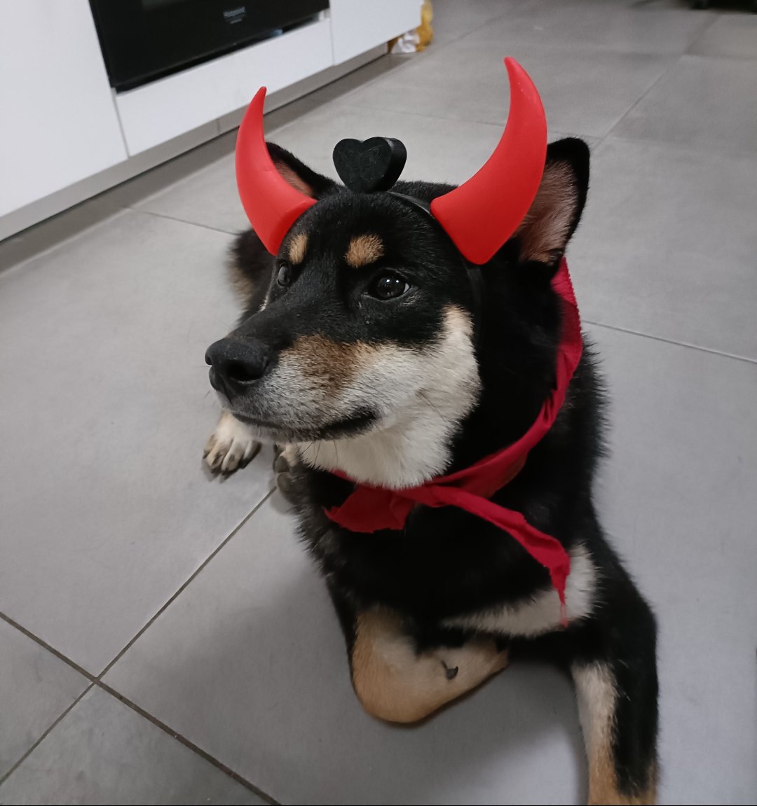 eutelion6316's tweet photo. @Nftaku1 @NFTSxDAY #devilhorn gang consistently 😈

#INS1D3RS https://t.co/sJrdkr32TV