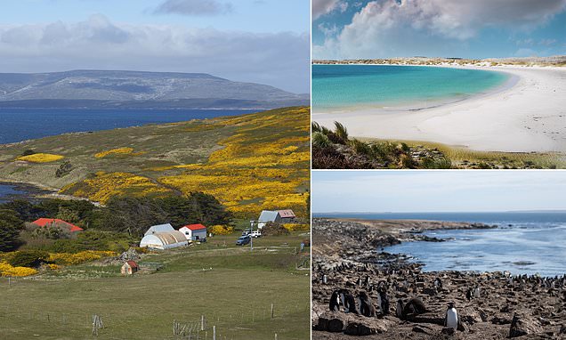 DailyMail's tweet photo. EU agrees to use Argentina's name for the Falklands 'Las Malvinas' in treaty https://t.co/1I4uG6xCYp https://t.co/zf8fTeYYZ2