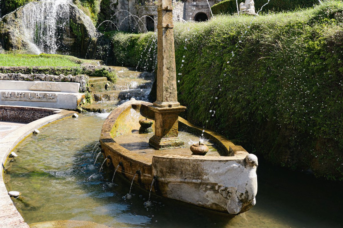 followthewabbit's tweet image. #Meandering but not far! #DailyPictureTheme