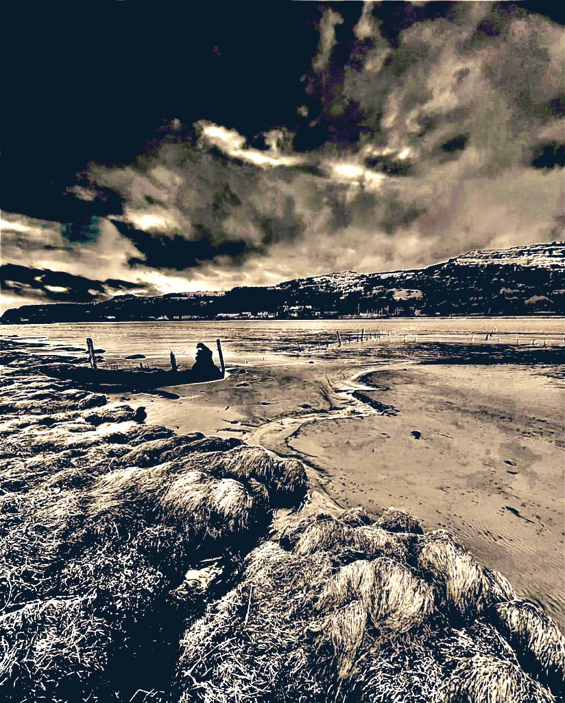 DavidHu99942866's tweet image. Stream #Meandering into the river.