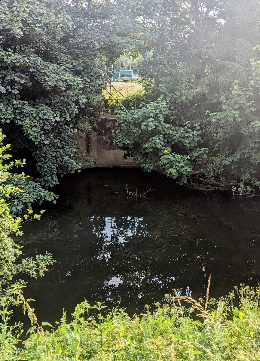 Fisherman Phil tweet media