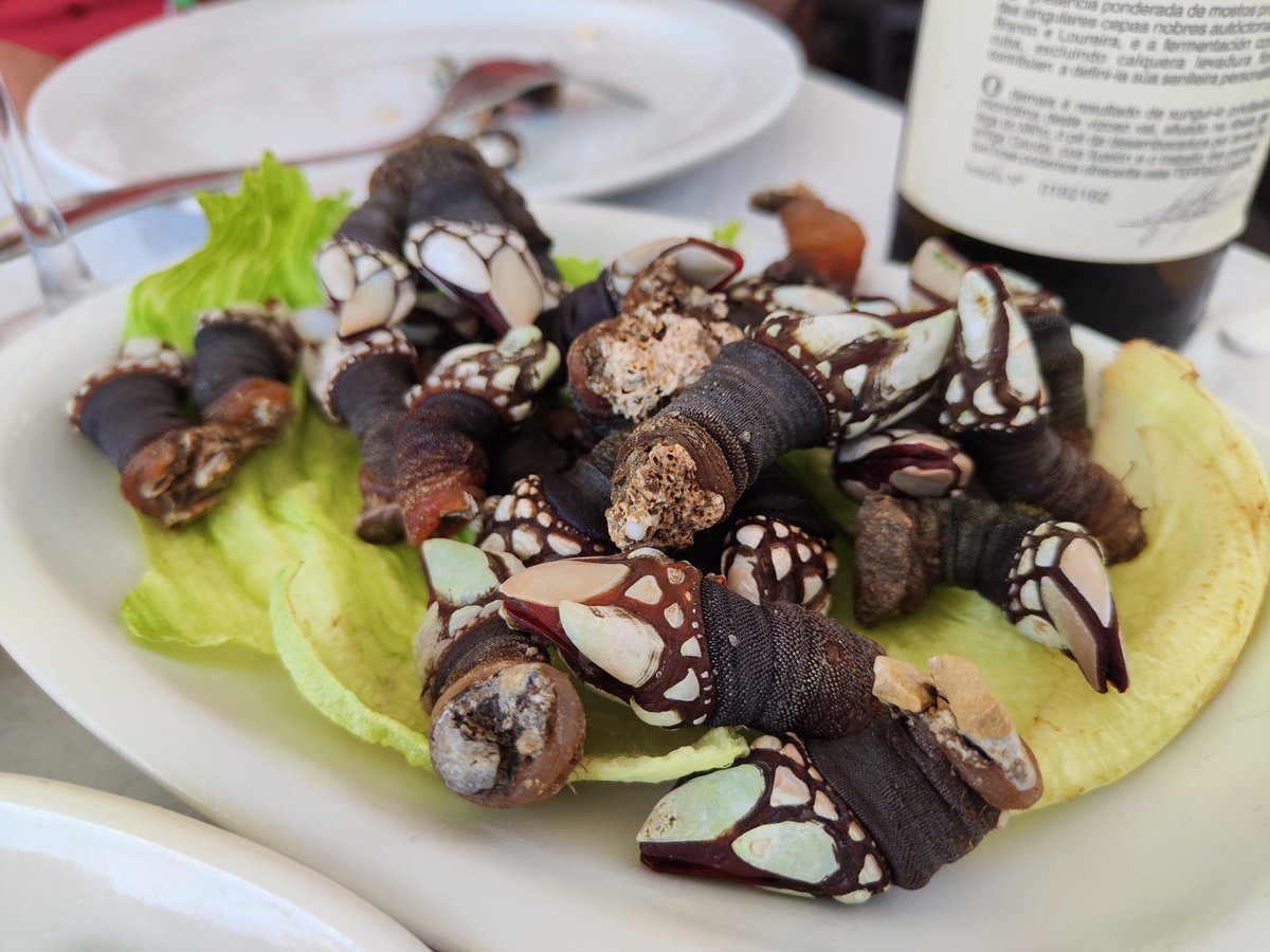 Dawna In The Kitchen tweet media