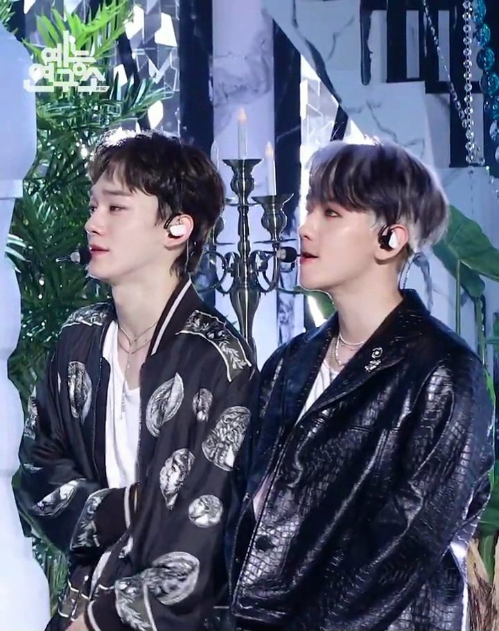 baekchen archive tweet media