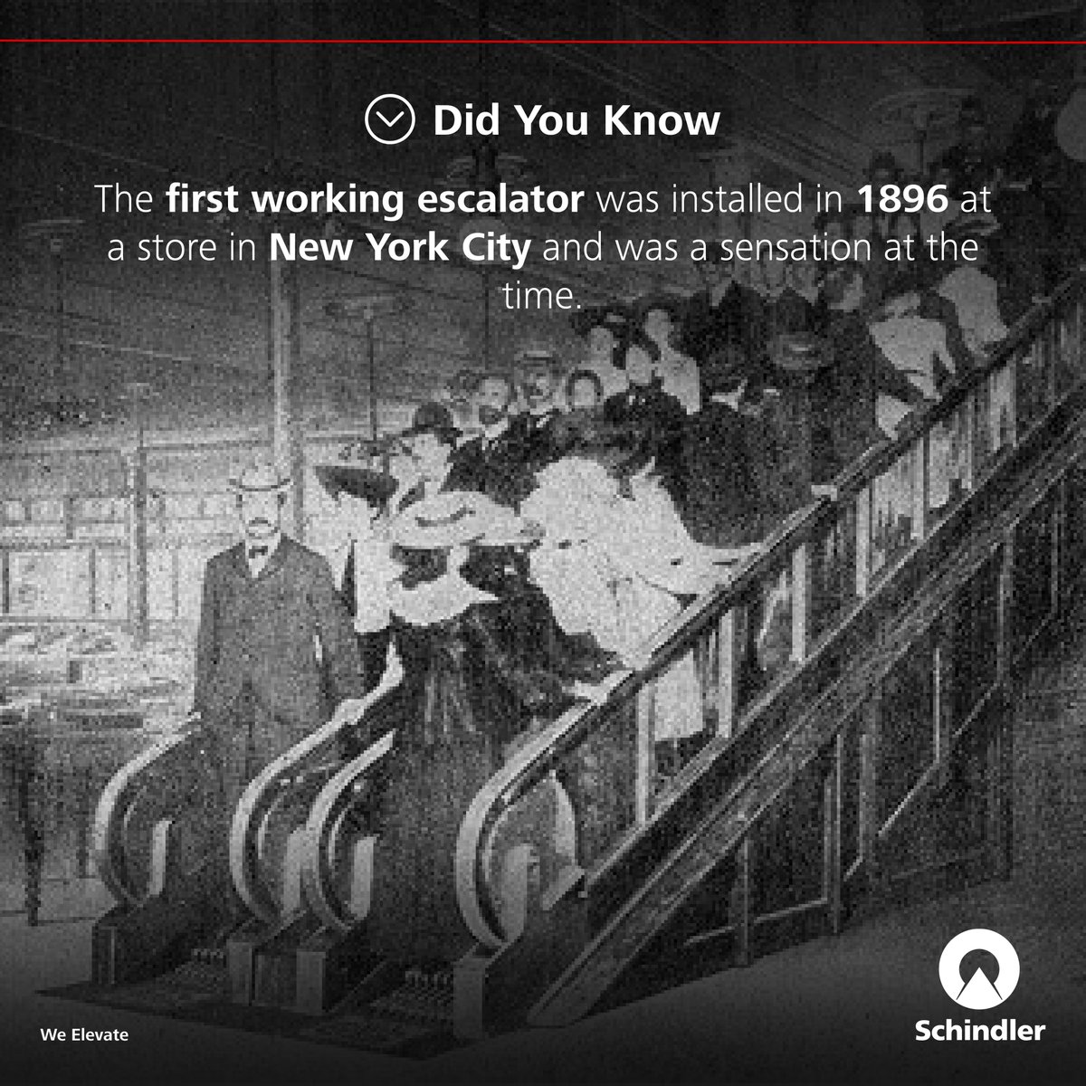 SchindlerIND's tweet photo. If you didn’t take a step back after reading that fact, you’re probably kidding yourself. Here’s to escalators being a 19th-century sensation 👏🏻

#SchindlerIndia #WeElevate #Didyouknow #Elevator #Escalator #Movingwalks #India https://t.co/wm0Mzhv74E