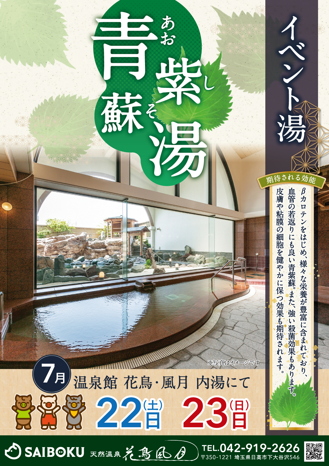 蘇紫紫 