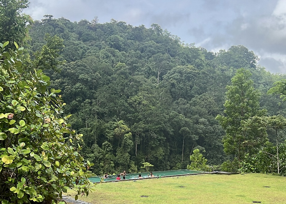 tekgeeks's tweet photo. Looking back at when team TekGeeks traded the office for the scenic hills of Kalawana. 

Fresh air and team bonding at its finest! 🌳🏞️

#TekGeeks #CompanyTrip #TeamGetaway #WorkLifeBalance https://t.co/Lv1LbDkmCl