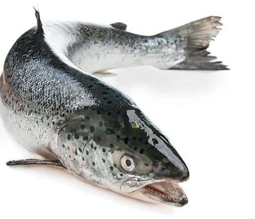 Roy Horobin tweet media