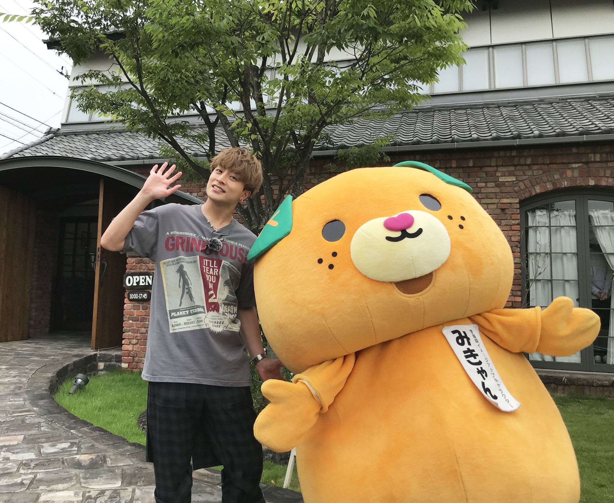 白濱亜嵐ぬいぐるみ （EXILE 白濱亜嵐 ぬいぐるみ 居酒屋え