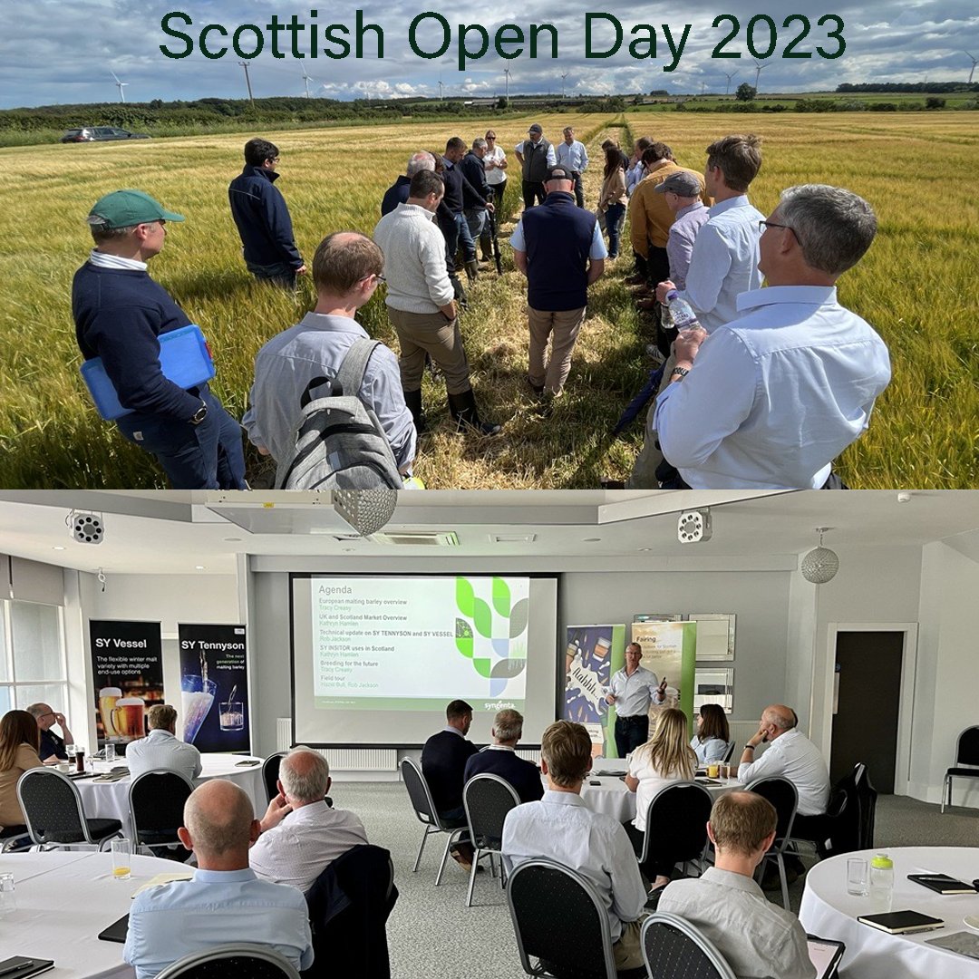 What a great day yesterday in Kirkcaldy at our annual Scottish Open Day! We updated our attendees on #SYTENNYSON & #SYVESSEL, and spoke about updated MBC decisions before taking a look around the trial plots at the @ScottishAgronomy Balgonie trial site! 🌱 #ScottishOpenDay