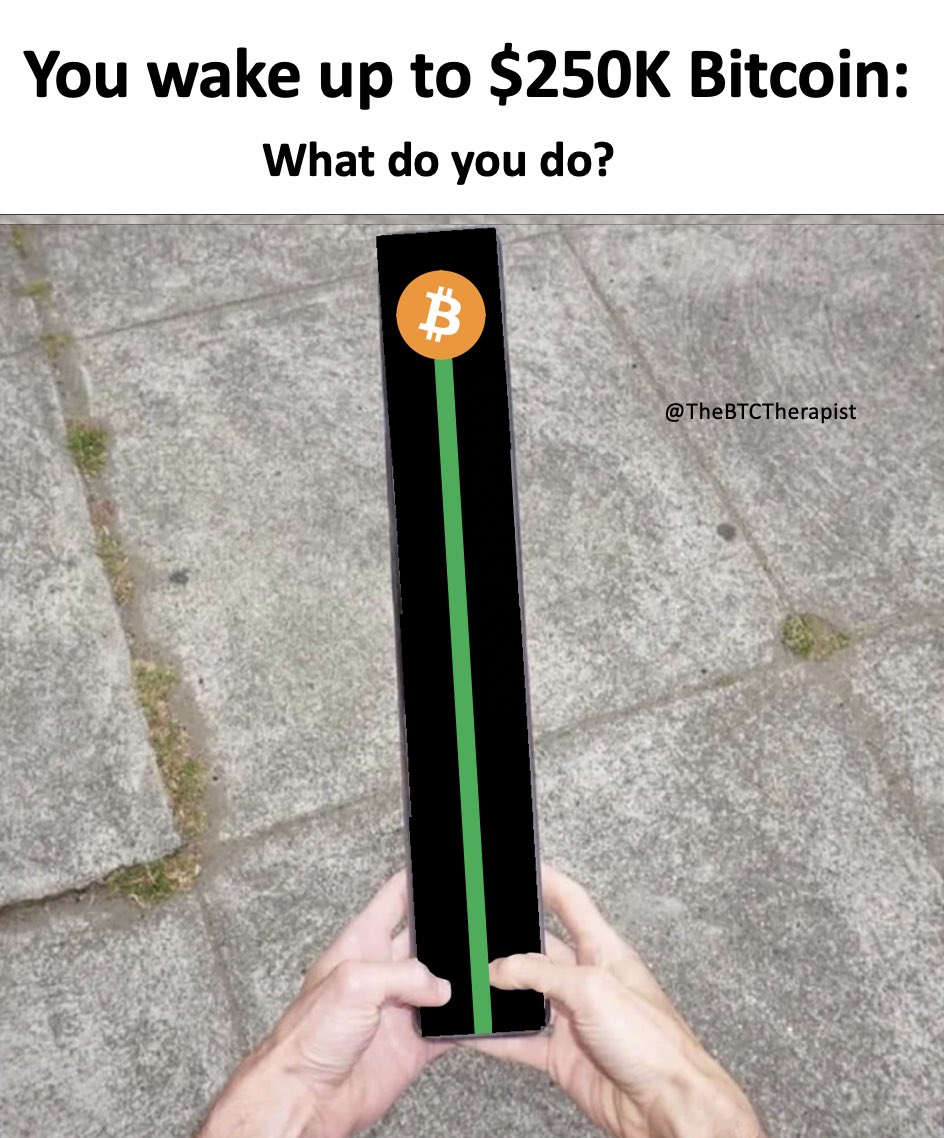 The ₿itcoin Therapist tweet media