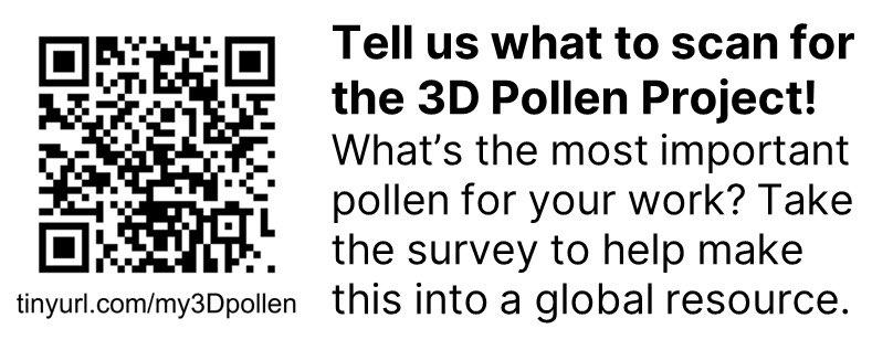 Ciao, #INQUARoma2023! It was really great to meet so many friends (old and new) and hear about all sorts of interesting research. And, as ever, so much fun sharing the excitement about @3Dpollenproject 😄 Don't forget to do the survey, pollen people! tinyurl.com/my3Dpollen