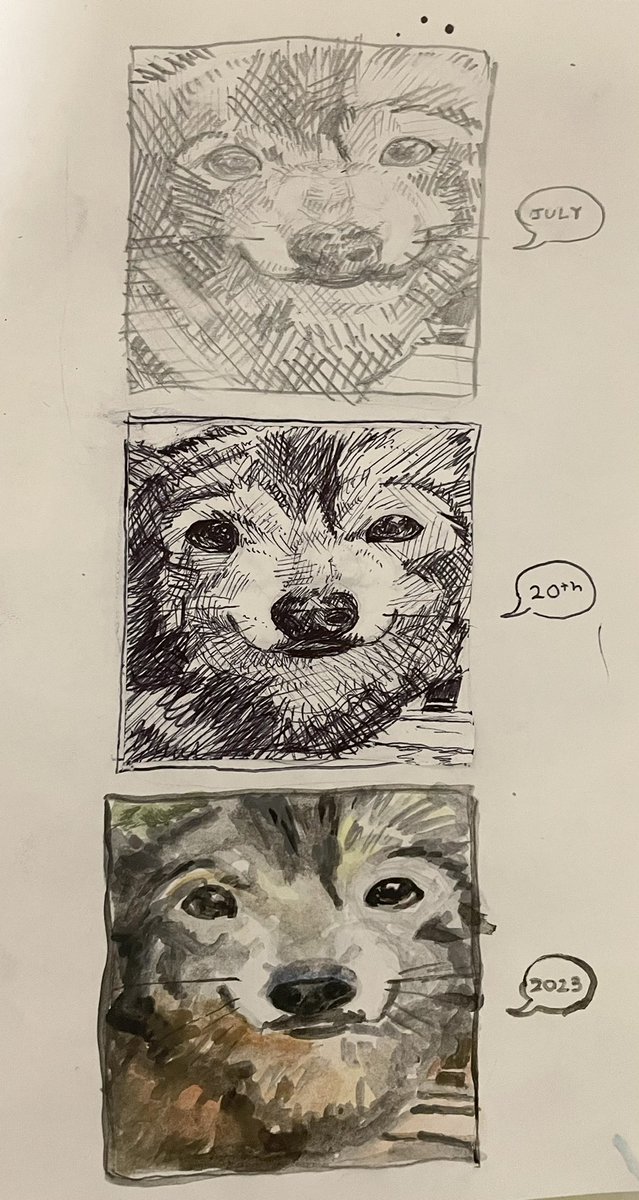 brokenpuns tweet picture