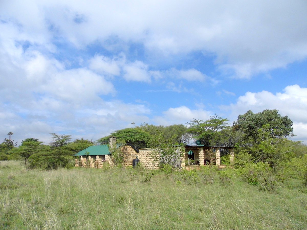 Will Knocker tweet media