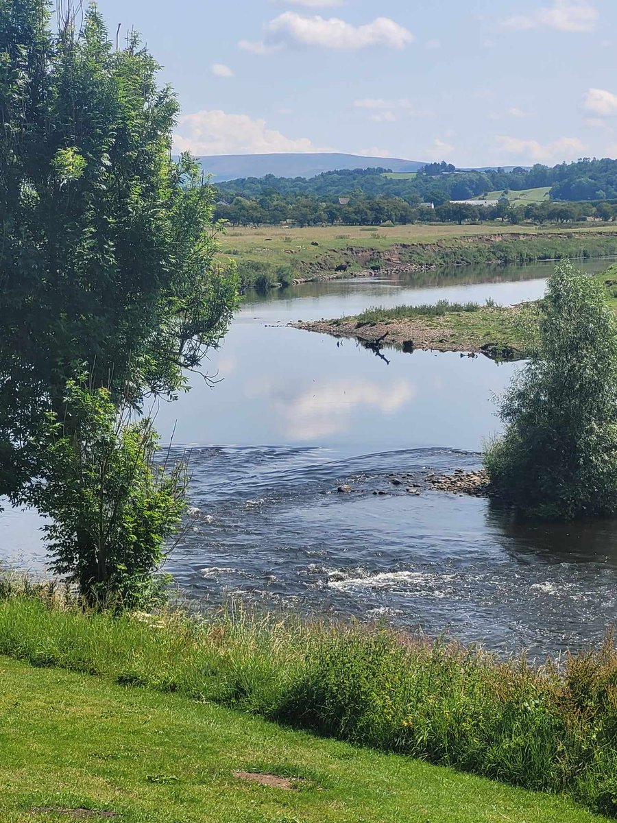 DebsHol50's tweet image. #Meandering 
River Ribble in Lancs.