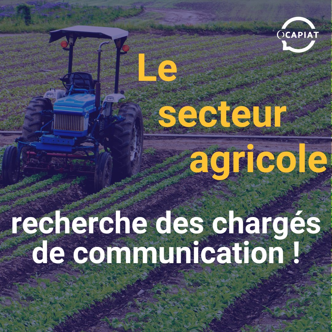 [Recrutement]

🔍Grand nombre d'entreprises du secteur #agricole recherchent leur chargé de #communication en alternance ! Tu cherches ton alternance pour ton master ?

Les TPE et PME agricoles n'attendent que toi !

#recrutement #alternance #master #agriculture #opco