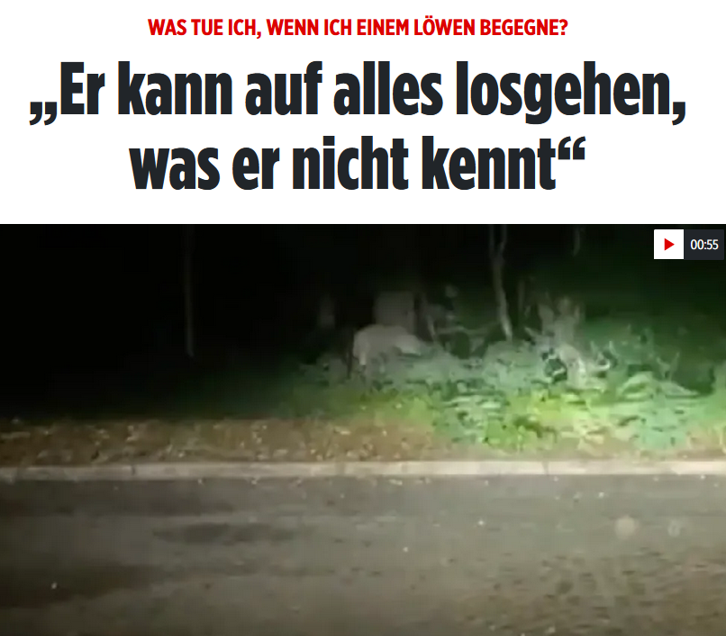 WayneSchlegel_'s tweet photo. Also im Prinzip wie der normale Ossi. https://t.co/Q4Ps8bAiIE