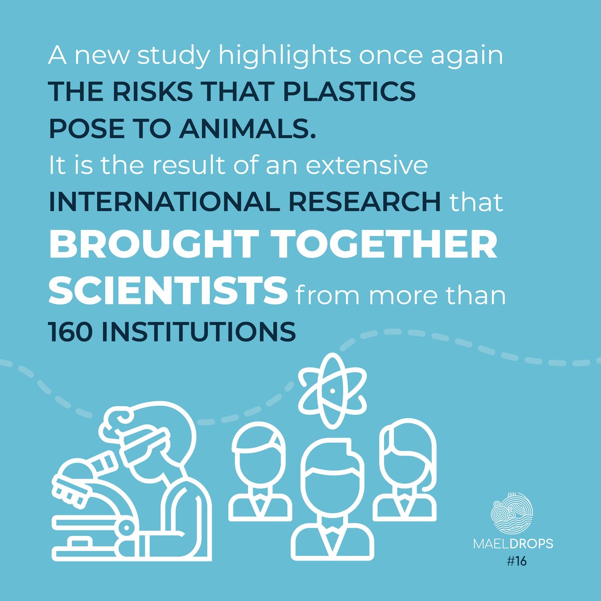 H2020Maelstrom's tweet photo. A  study presents the first global exposure assessment of seabirds to #plastic litter: the main conclusion is that plastic hotspots are the areas most frequented by birds.
What does this mean? Read it on our website!
🔗https://t.co/W98aE4dZom
#MAELDrops @EUScienceInnov @EU_MARE https://t.co/WvLrxcqrD4