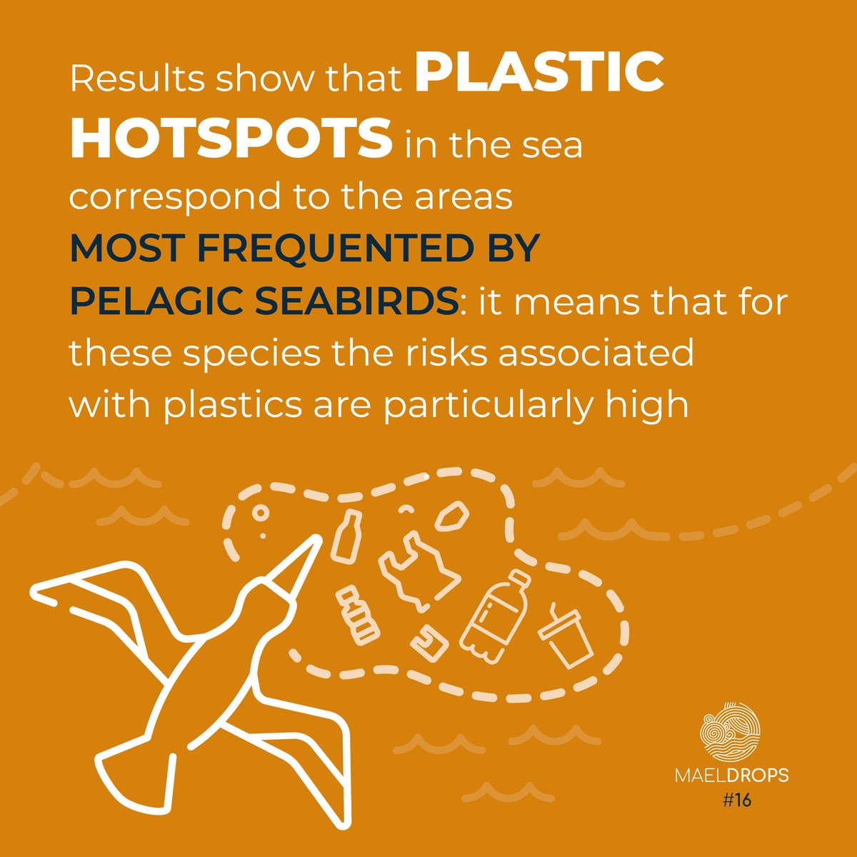 H2020Maelstrom's tweet photo. A  study presents the first global exposure assessment of seabirds to #plastic litter: the main conclusion is that plastic hotspots are the areas most frequented by birds.
What does this mean? Read it on our website!
🔗https://t.co/W98aE4dZom
#MAELDrops @EUScienceInnov @EU_MARE https://t.co/WvLrxcqrD4