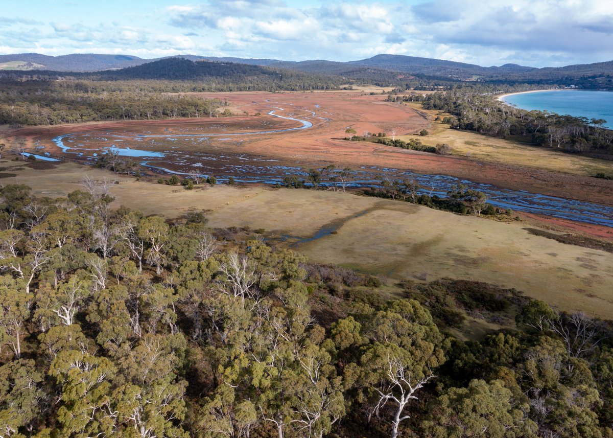 Tas_Land's tweet photo. Our #community is incredible! In just two months, with matching from the Elsie Cameron Foundation, you helped raise over $3.8 m to extend #SlopingMain Reserve. TLCβs permanent #naturereserve at Sloping Main is now over 660 ha.
https://t.co/hboGI0c1QQ https://t.co/DVlbKt5Qo2