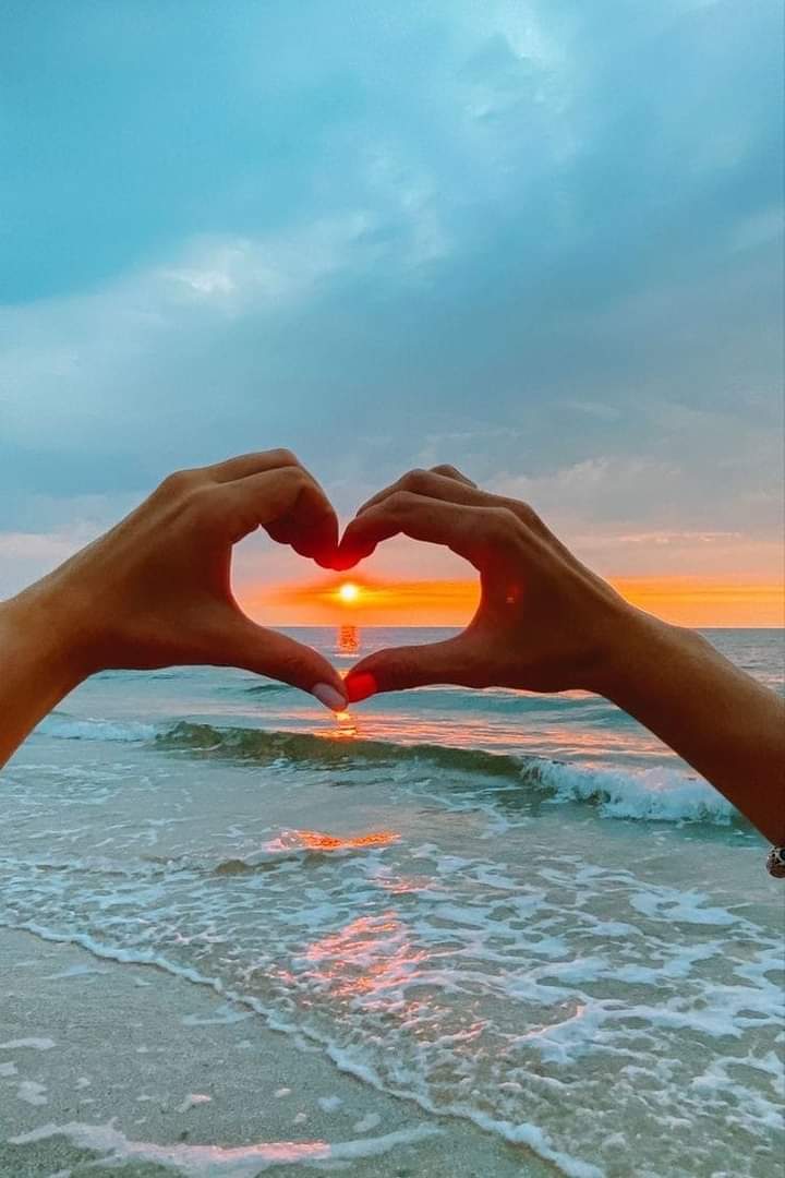 🌺Sandra🌺 ✝️🇺🇸🩵🌴🦩🐊🕶️👠🐱🐶🐎🐅💜 tweet media
