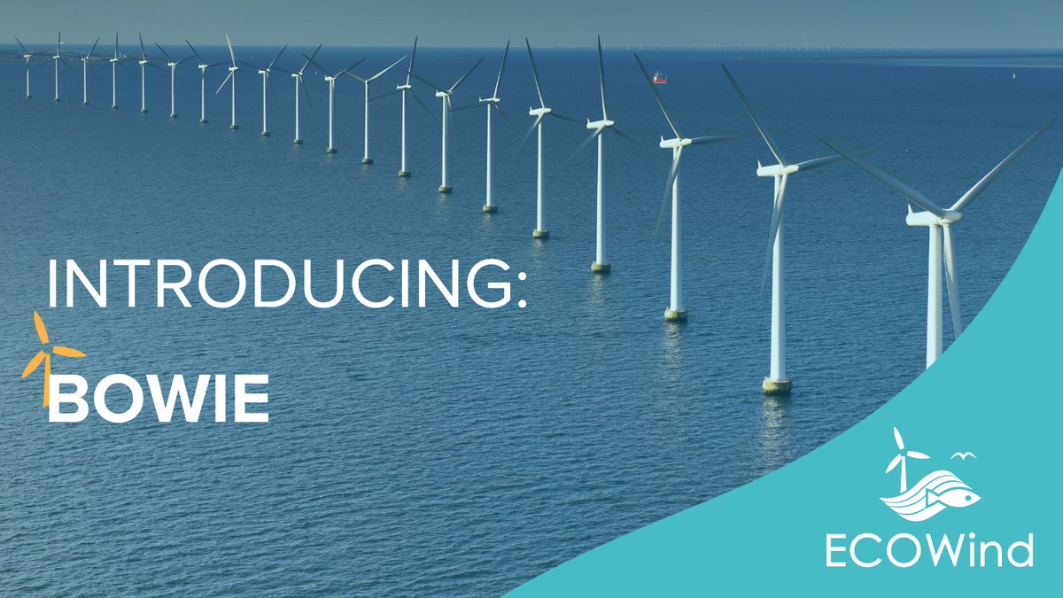 ECOWind tweet media