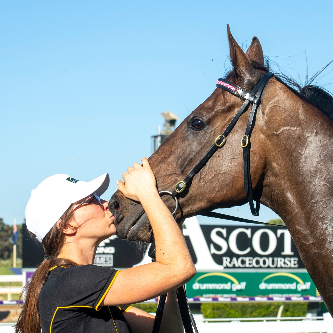 PerthRacing's tweet photo. We’re supporting thoroughbred welfare research 🧡🐴! We’ve partnered with TeleMedVET- a licensed scientific organisation registered with the animal ethics committee - and will be facilitating their pilot study on thoroughbred bone and joint injury prevention.

TeleMedVET's groundbreaking work has been published in journals internationally and we’re very excited to be part of their latest study!

For more info: https://t.co/kMxB0UFRHb

@TelemedVET