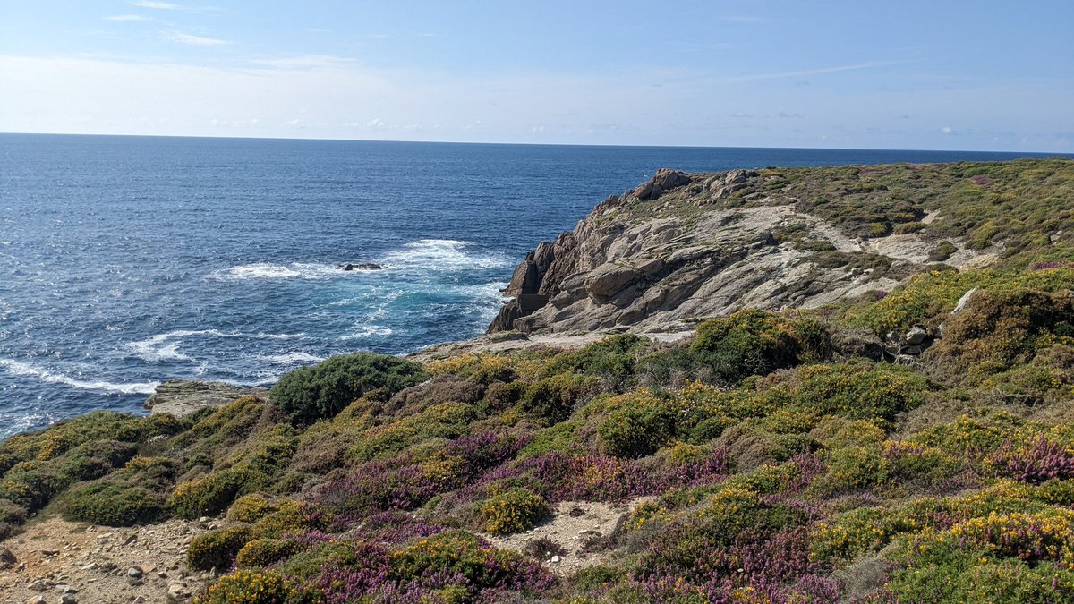 Gergely Neu tweet media