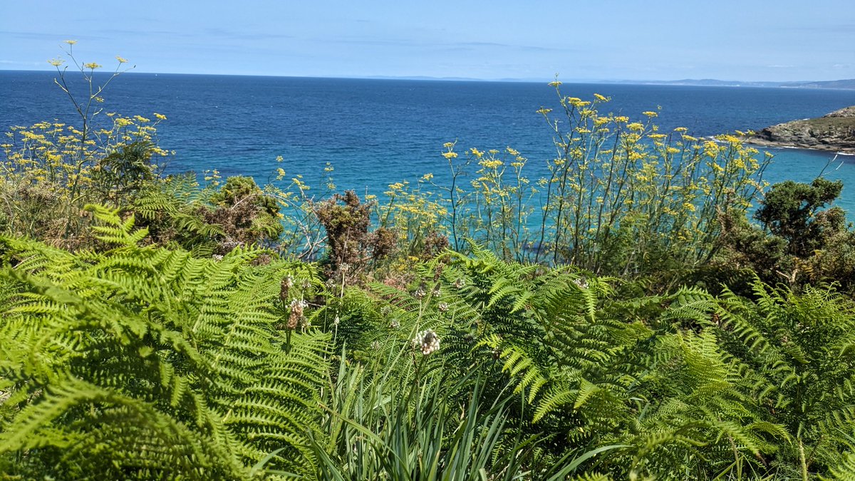 Gergely Neu tweet media