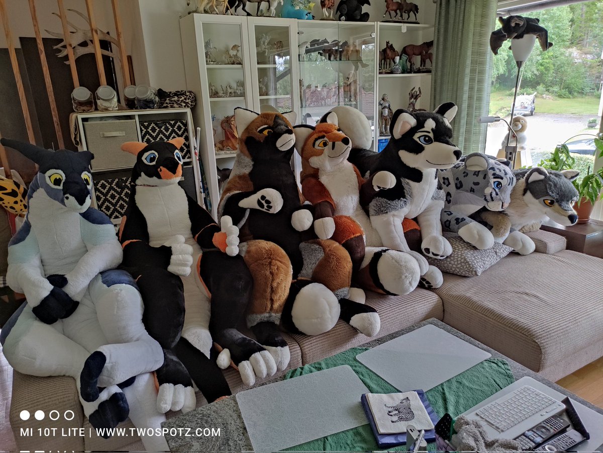 twospotz's tweet photo. So we have a meet at our house this weekend ... Turned into a plushie meet! These are all from @PlushLife_eu and owned by different people. The black dragon ia mine and named "Petronella". https://t.co/qHfOlWidPZ