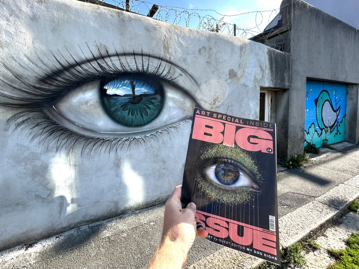 So lovely to have this in Plymouth! Great edition of @BigIssue by @MyDogSighs #streetart