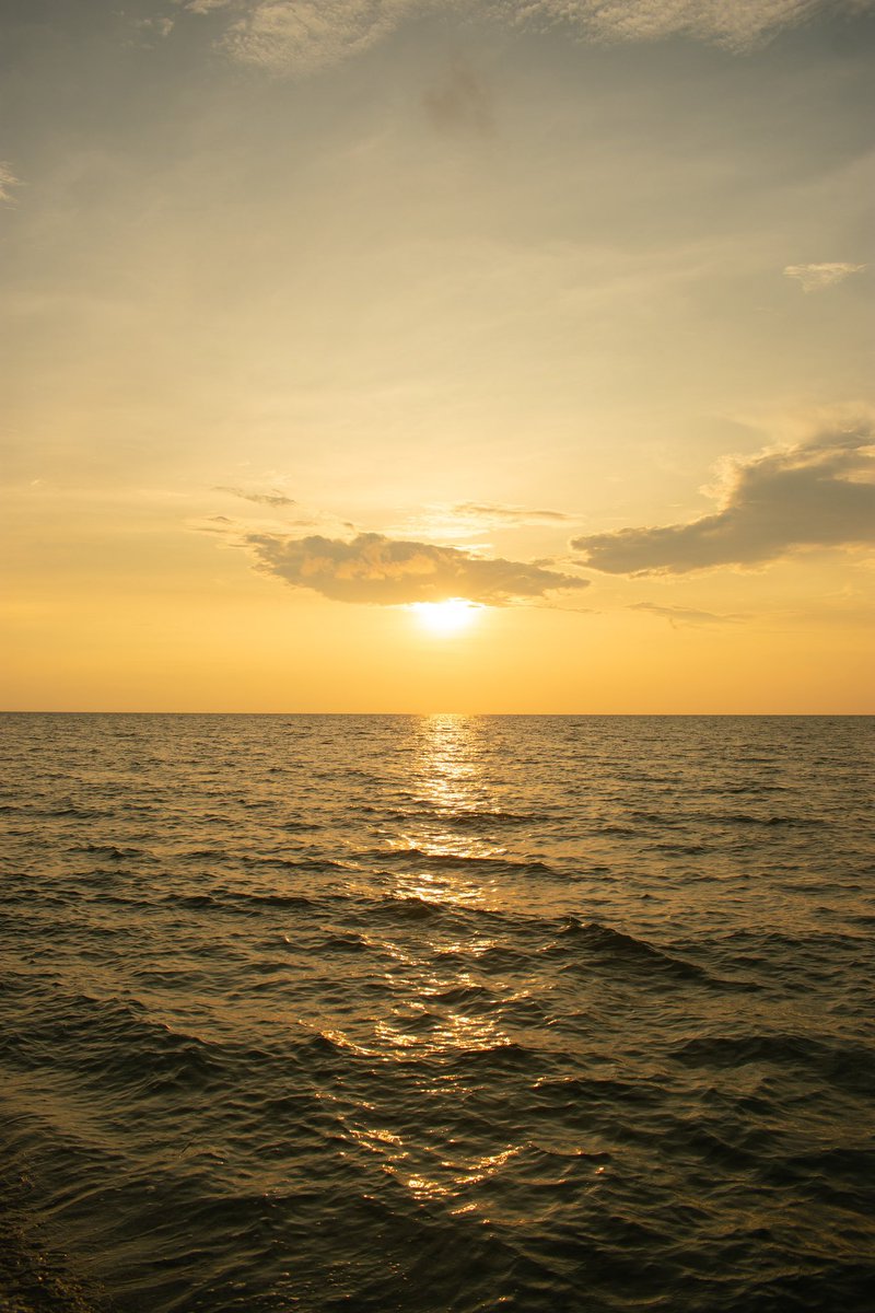 Aliko Sunawang tweet media