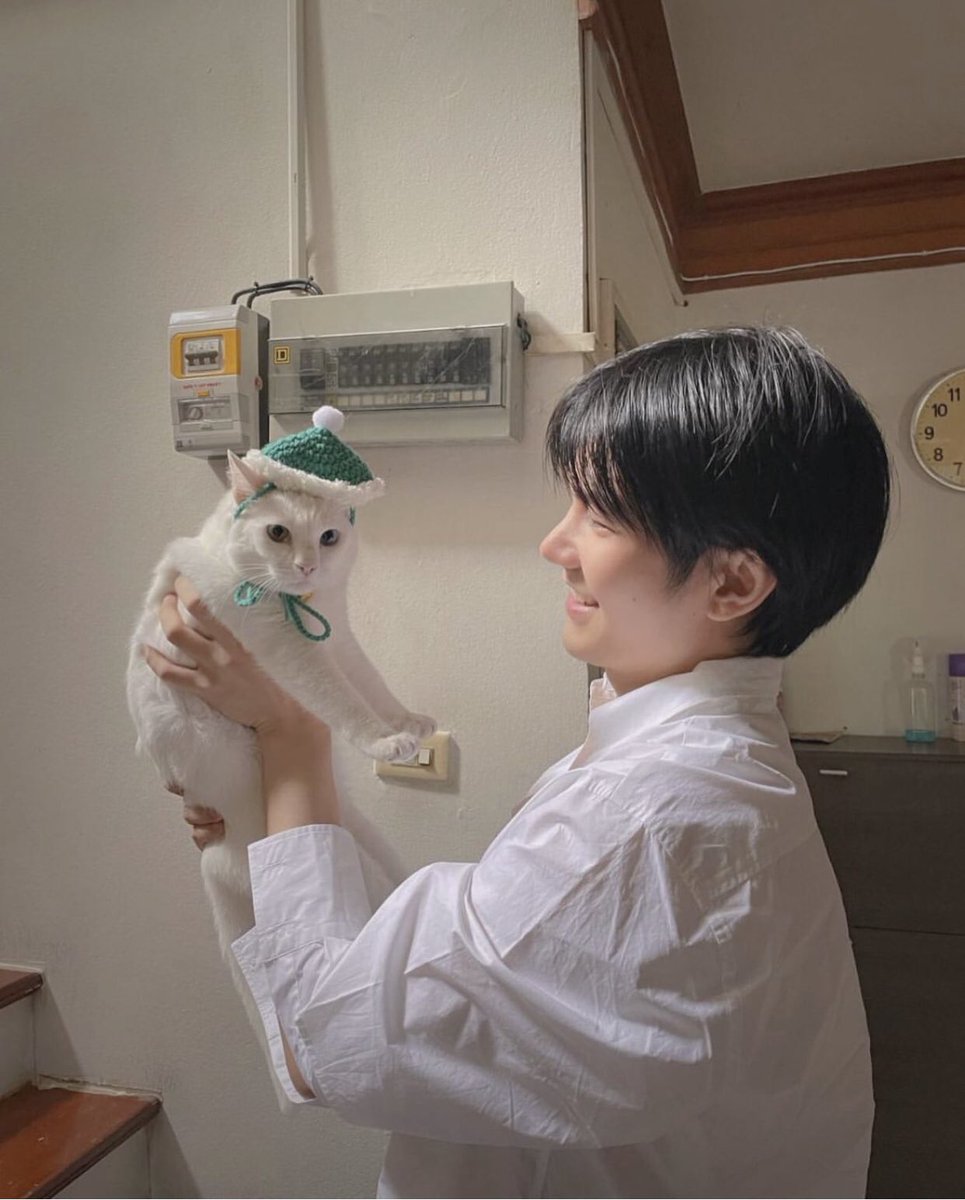 BuildJakapan_PH's tweet photo. 072023 | honeybeeputtha IG Post

"Mino, Daddy come to see you. 🐱"

Aww, Build and Mino photo finally! 😻💙

#BuildJakapan #Beyourluve @jakeb4rever https://t.co/KqUxqhcZe0