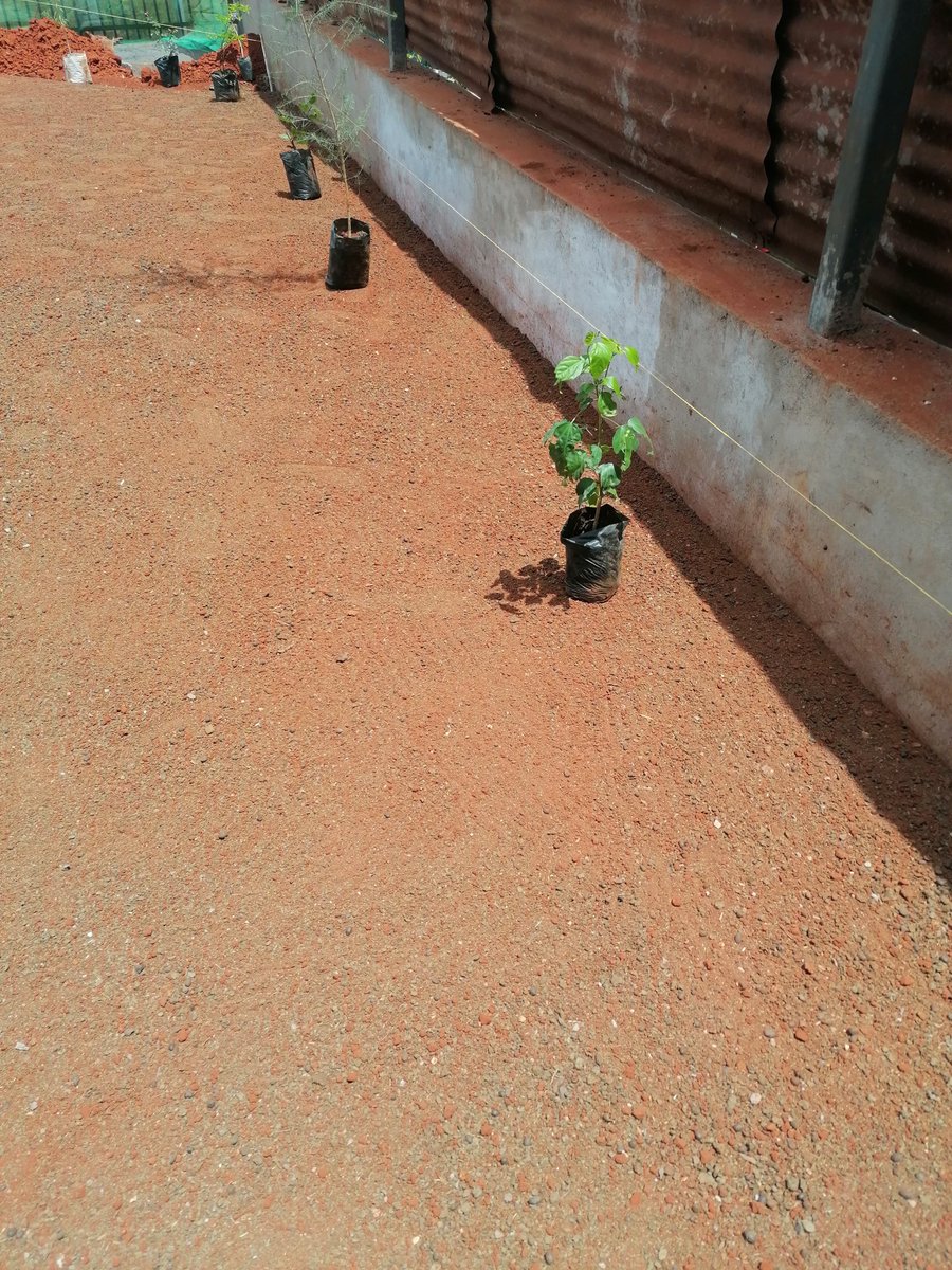 MV_crafts's tweet photo. Proper ground preparation is key to a perfect landscaping project.
Consult us today-0726595809
#MainaAndKingangi #Demonstrations
#MaandamanoWednesdayToFriday
Daddy Owen #thikaroad Charles Owino
Nairobi CBD Azimio Fridah Ongili Where is Raila
Marsabit https://t.co/890pJkkJlK