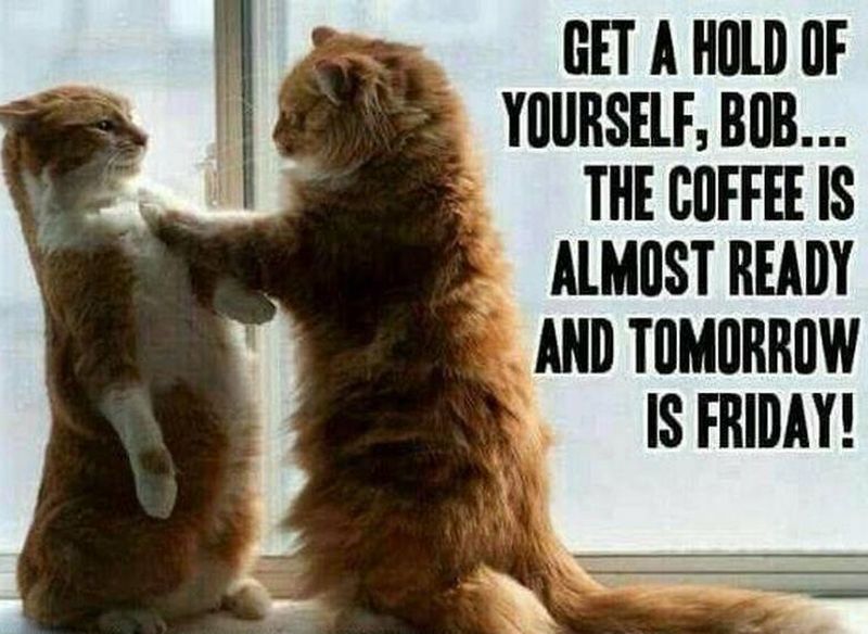The_Last_Hurdle's tweet photo. Good morning all,

A bit later than usual today, there is nothing like waking up to a client emergency, all's well that ends well. It has already been a long day, am looking forward to the weekend! 

Almost there... have a fab Thursday one and all! https://t.co/E8iCVJLQV1