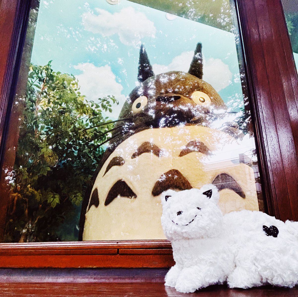 reissuerecords's tweet photo. リイシューねこちゃん　三鷹の森ジブリ美術館 @GhibliML を訪れました。 エントランスから胸が高まります。
(特別な許可をいただき記念写真を撮影しました) https://t.co/3vLgh8xIa5