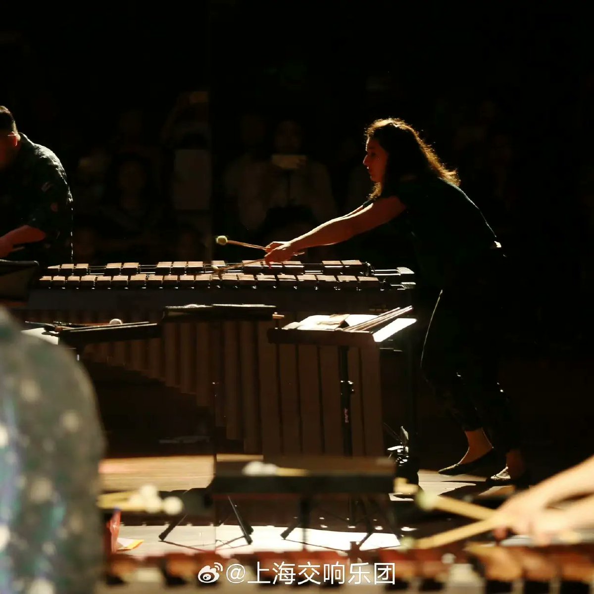 An incredible time with making our debut in Shanghai with @LeoLeYu as @auroraperc @ShanghaiSO MISA Festival  - selling out a month in advance! 

A programme dedicated to the powerfully connective nature of trees & our relationship to them as humans 🌳🌲🥁 exploring wooden sound