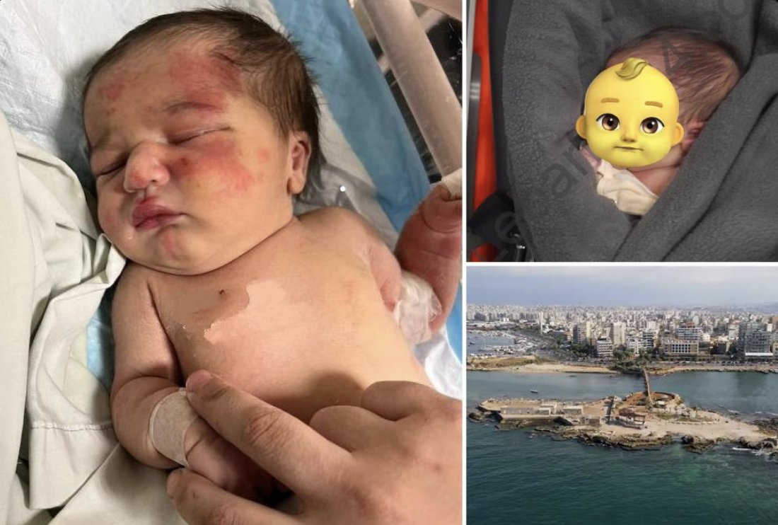 Youridefou's tweet photo. Hier au Liban, ce bébé ( une petite fille de 4 mois) a été sauvé par un chien errant. Le bébé avait été enfermé dans un sac et jeté dans une poubelle. 

Alerter par des pleurs provenant du sac que le chien portait avec sa bouche, un passant a pris en charge le bébé et l'a amené à l'hôpital la plus proche.  

Il semblerait que le chien ait fait exprès d'amener l'enfant à un endroit où des humains pourraient l'aider...🥹