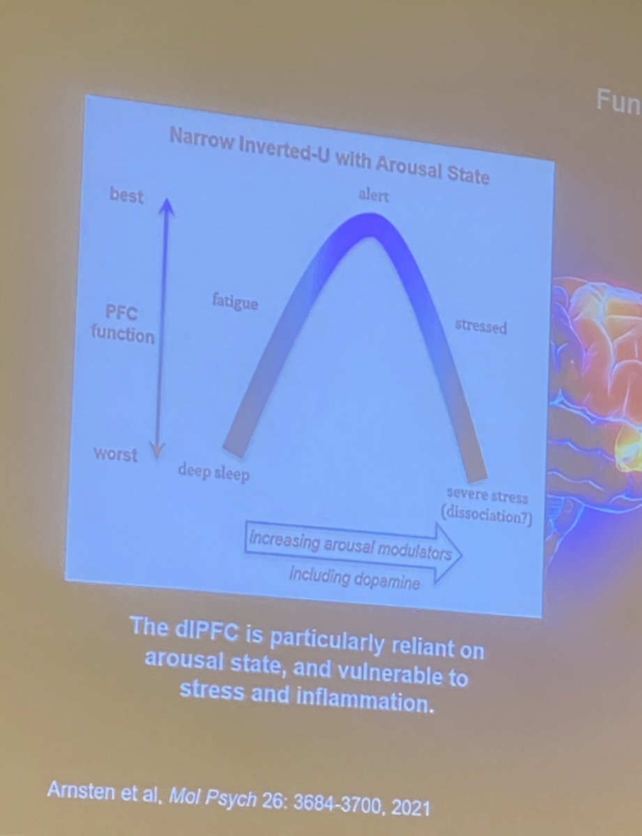 At Adele's conference. 1: EFs are SO fragile; you may NEVER have seen your traumatized students utilizing this highly evolved structure. 2: There is a non-stimulant drug (guanfacine) that can revive EFs for these Ppl. 3: Meditation. Is. Essential. #ActivatedLearning