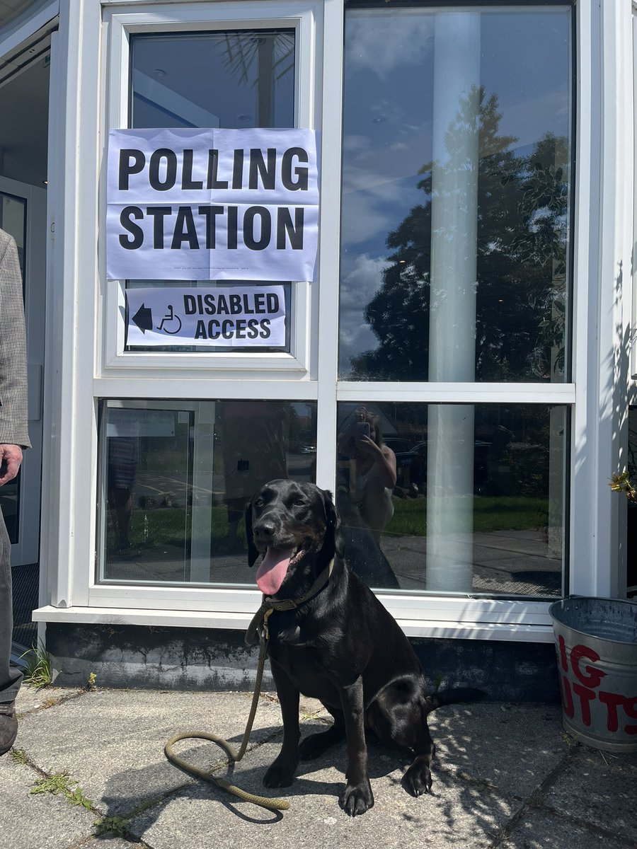 #dogsatpollingstations #somertonandfrome #Byelections