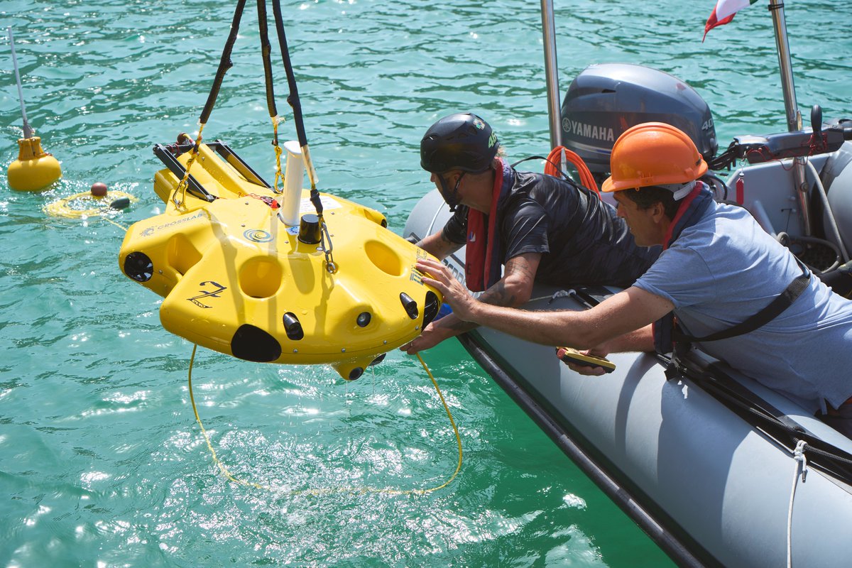 Centre for Maritime Research & Experimentation tweet media