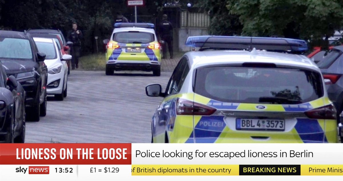 Simon Beale tweet media